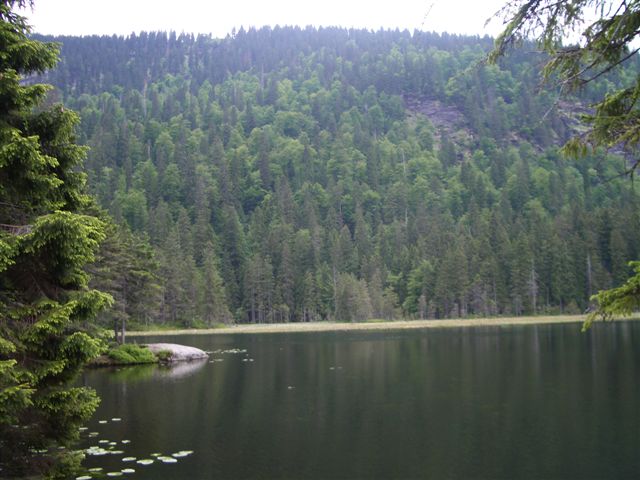 Jezero Velky Arber
